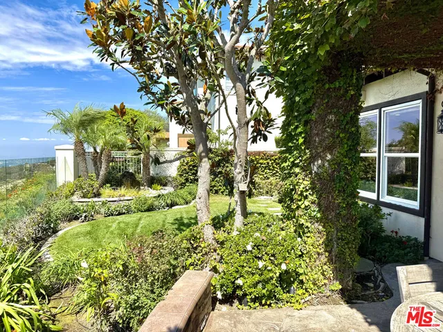 a view of a yard with plants