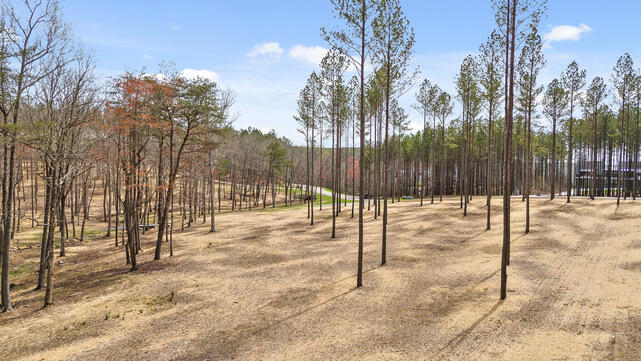 5420 Raulston Falls Drive Jasper, TN 37347 - Photo 26 of 35 Copious acreage