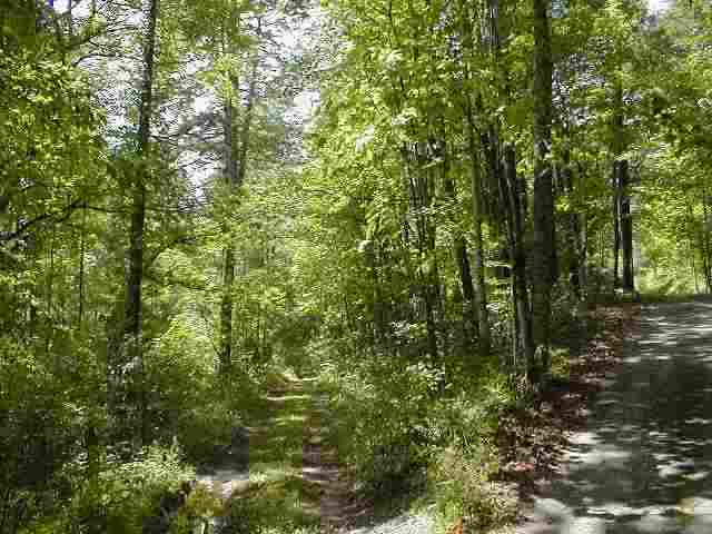 ' Bethel Church Road Walhalla, SC 29691 - Photo 3 of 9 Gallery Image 3
