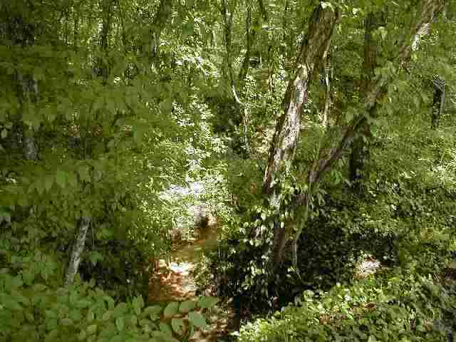 ' Bethel Church Road Walhalla, SC 29691 - Photo 4 of 9 Gallery Image 4