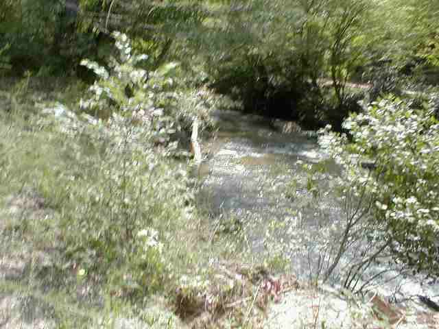 ' Bethel Church Road Walhalla, SC 29691 - Photo 7 of 9 Gallery Image 7