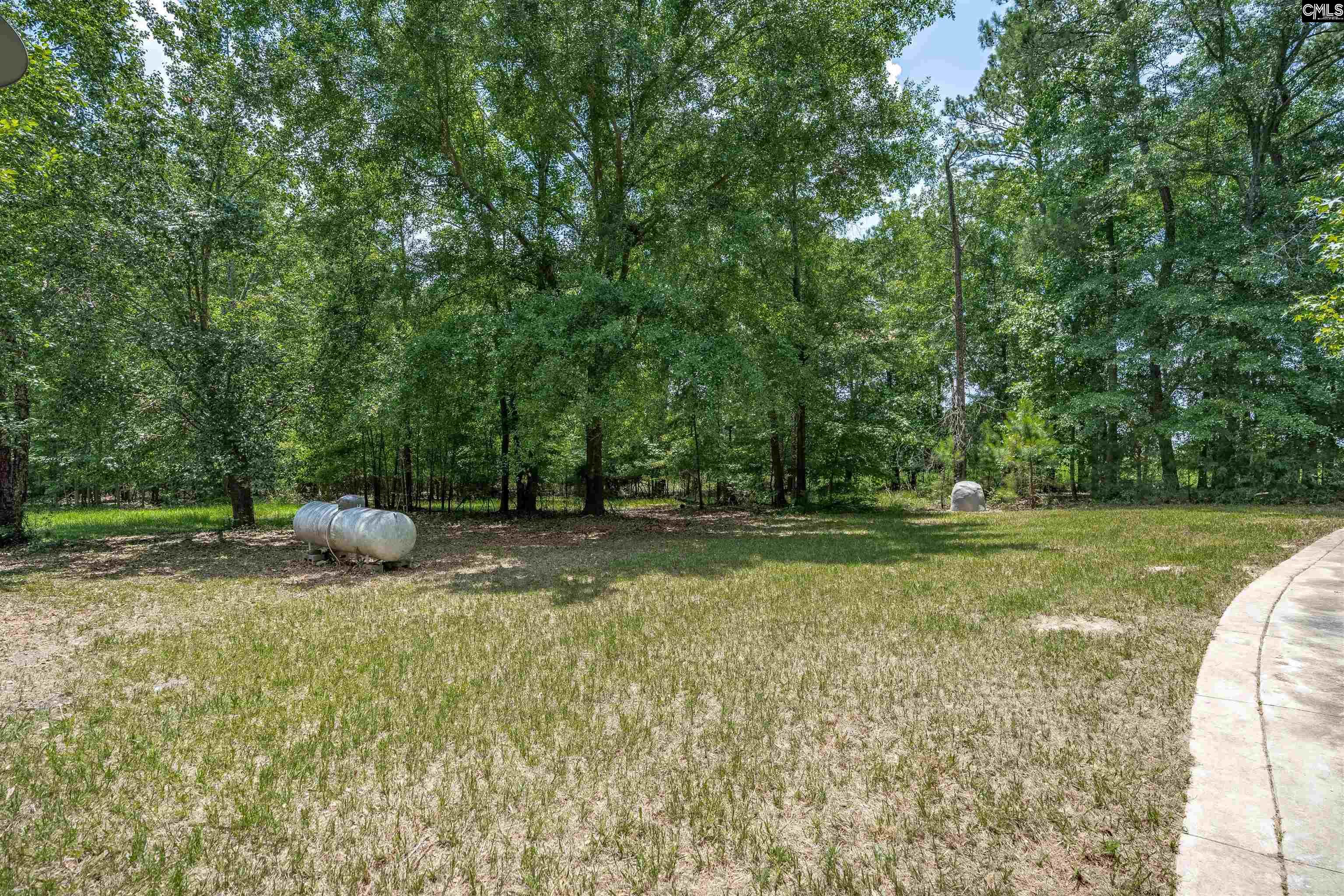131 Mule Trail Gilbert, SC 29054 - Photo 42 of 65