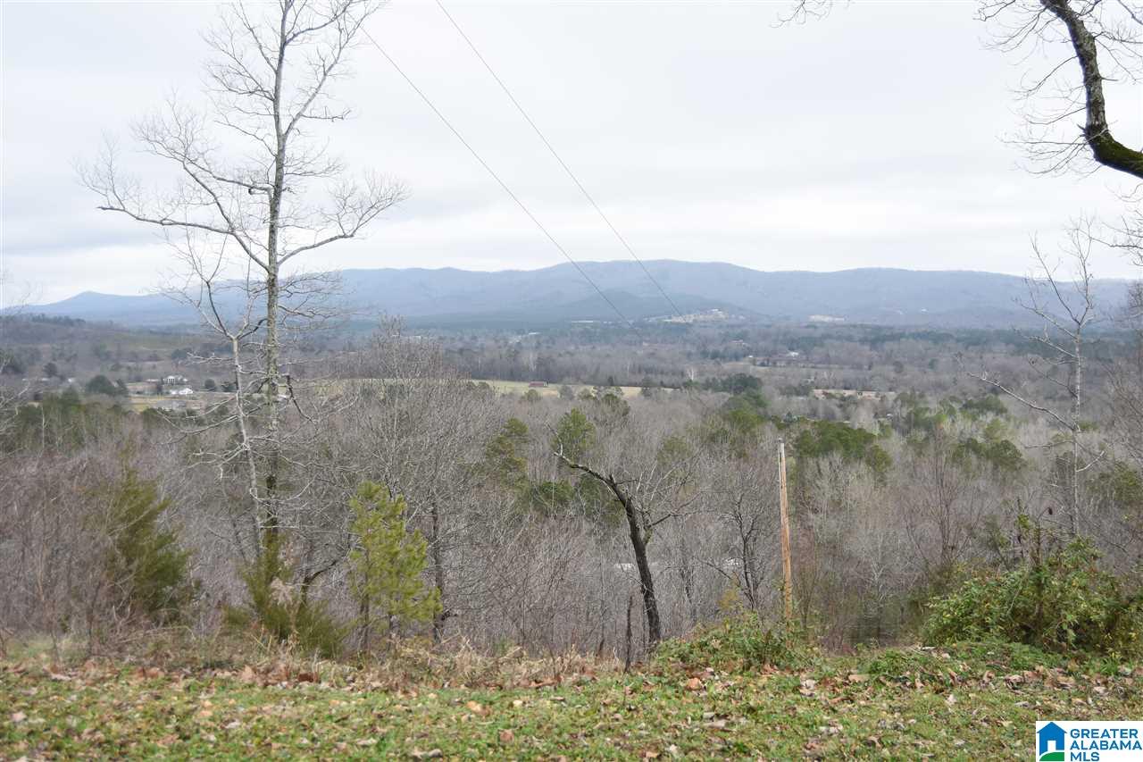 489 Copperhead Road Jacksonville, AL 36265 - Photo 4 of 32