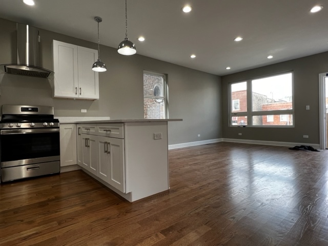 1051 North Springfield Avenue Chicago, IL 60651 - Photo 5 of 27