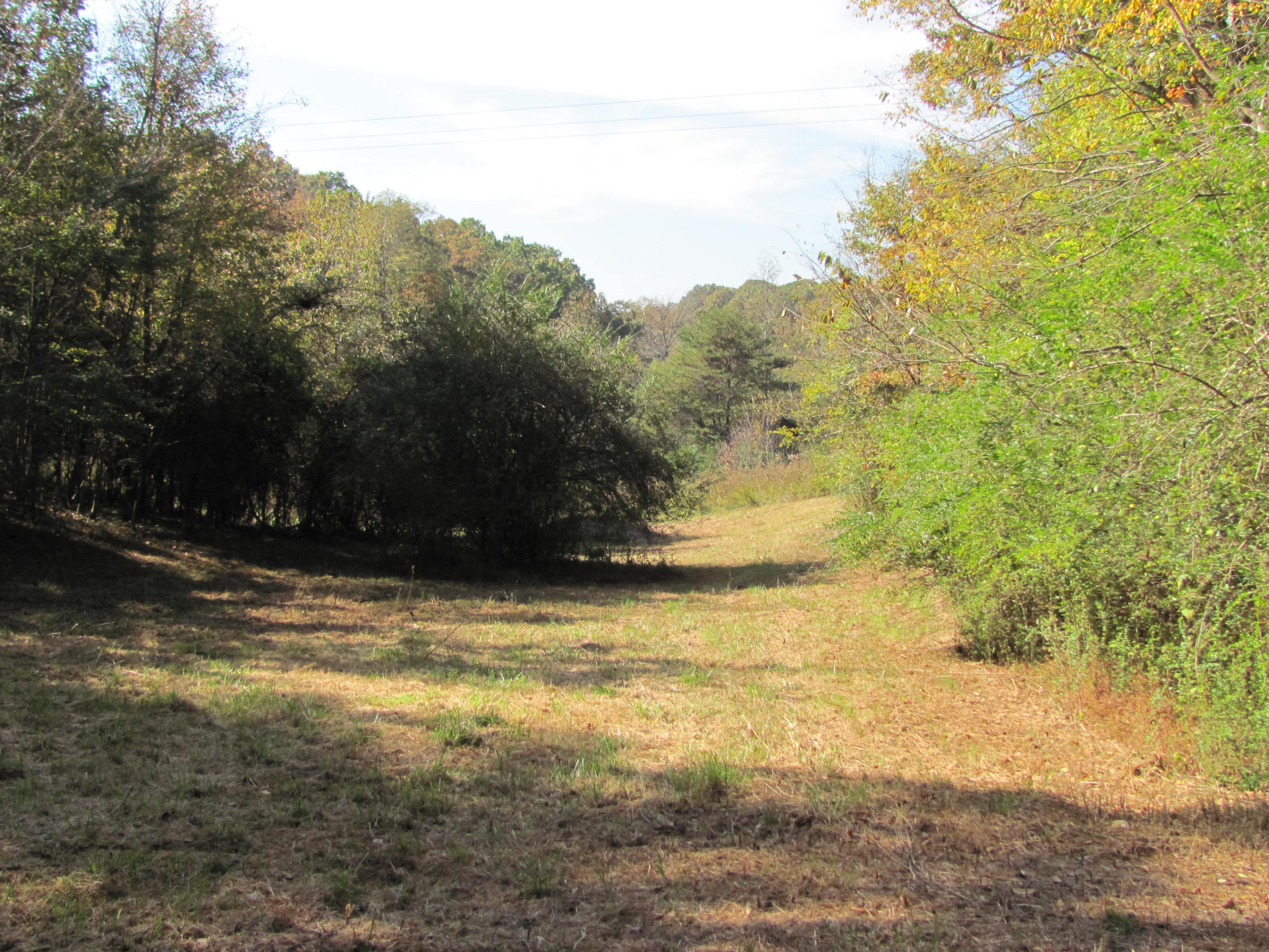 West Hotchkiss Valley Road Loudon, TN 37774 - Photo 14 of 18 Hotchkis Valley 9 acres - 2