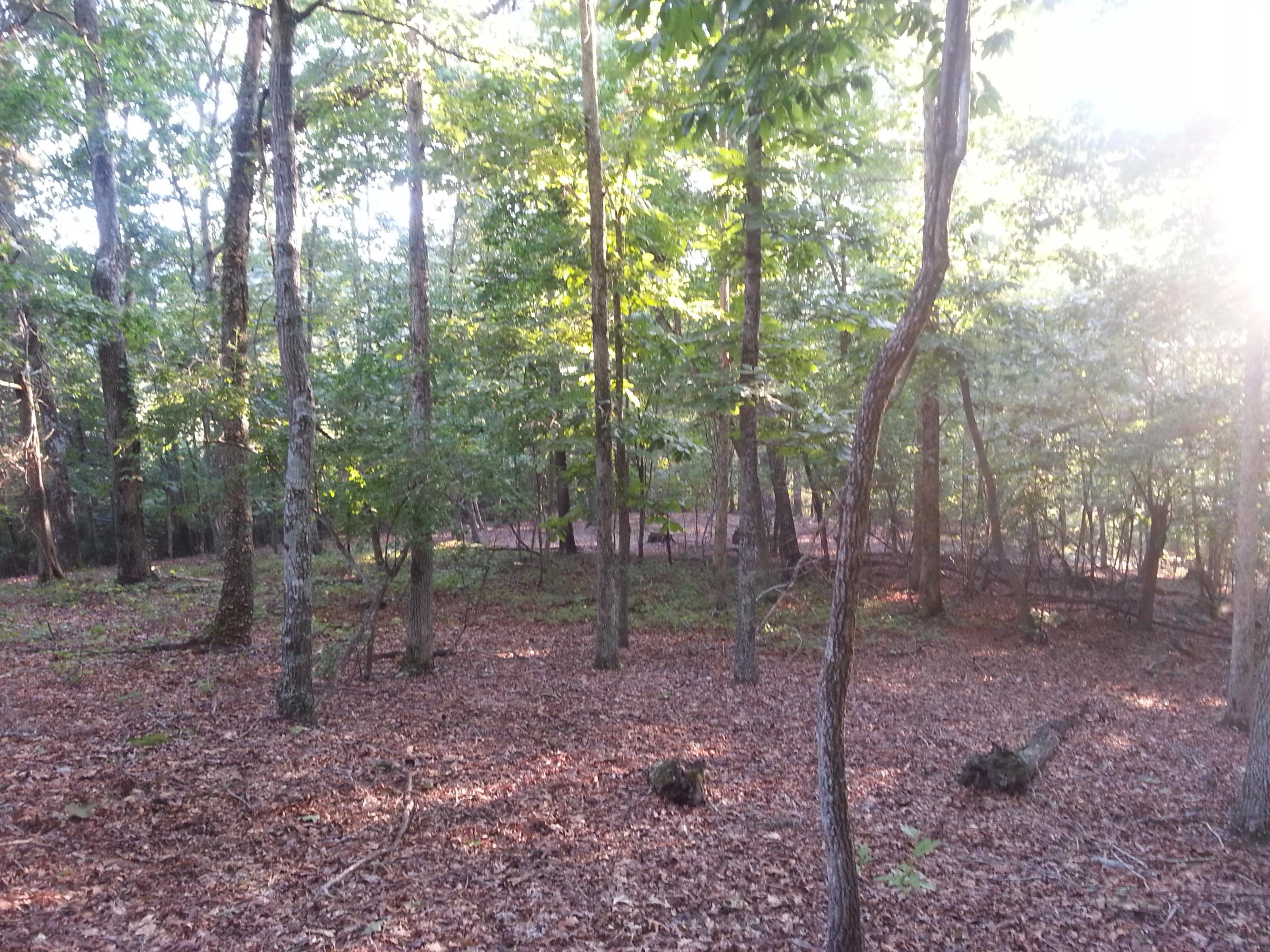 West Hotchkiss Valley Road Loudon, TN 37774 - Photo 3 of 18 2014-08-27 19