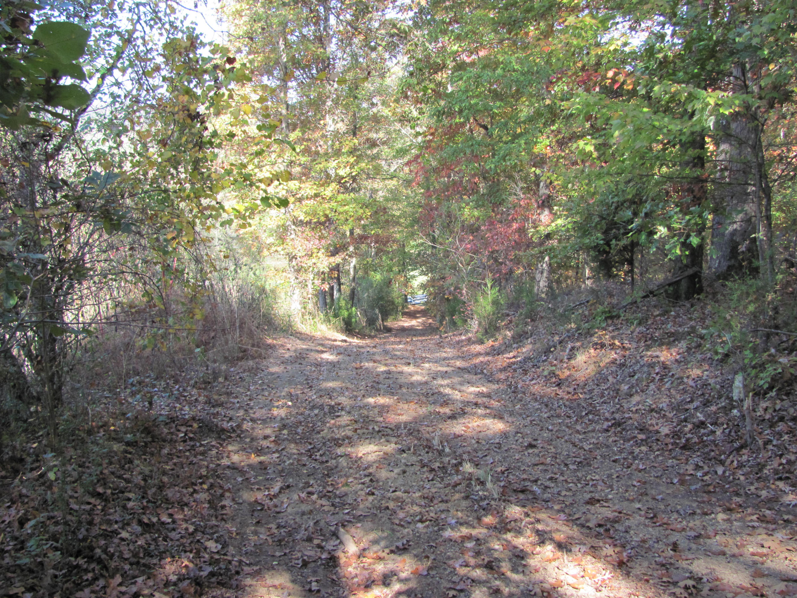 West Hotchkiss Valley Road Loudon, TN 37774 - Photo 5 of 18 Road cut in from street.