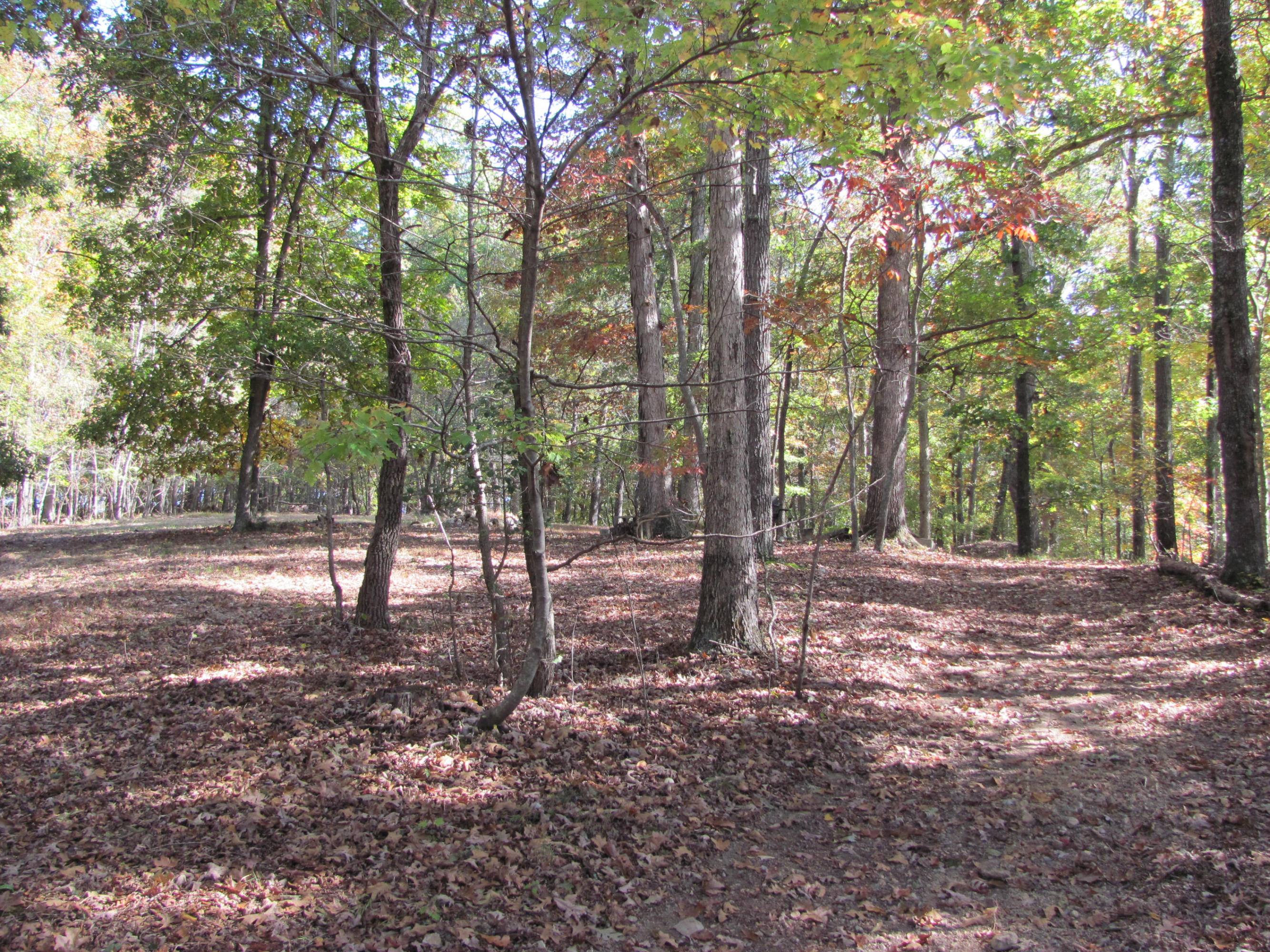 West Hotchkiss Valley Road Loudon, TN 37774 - Photo 6 of 18 Several nice building spots!
