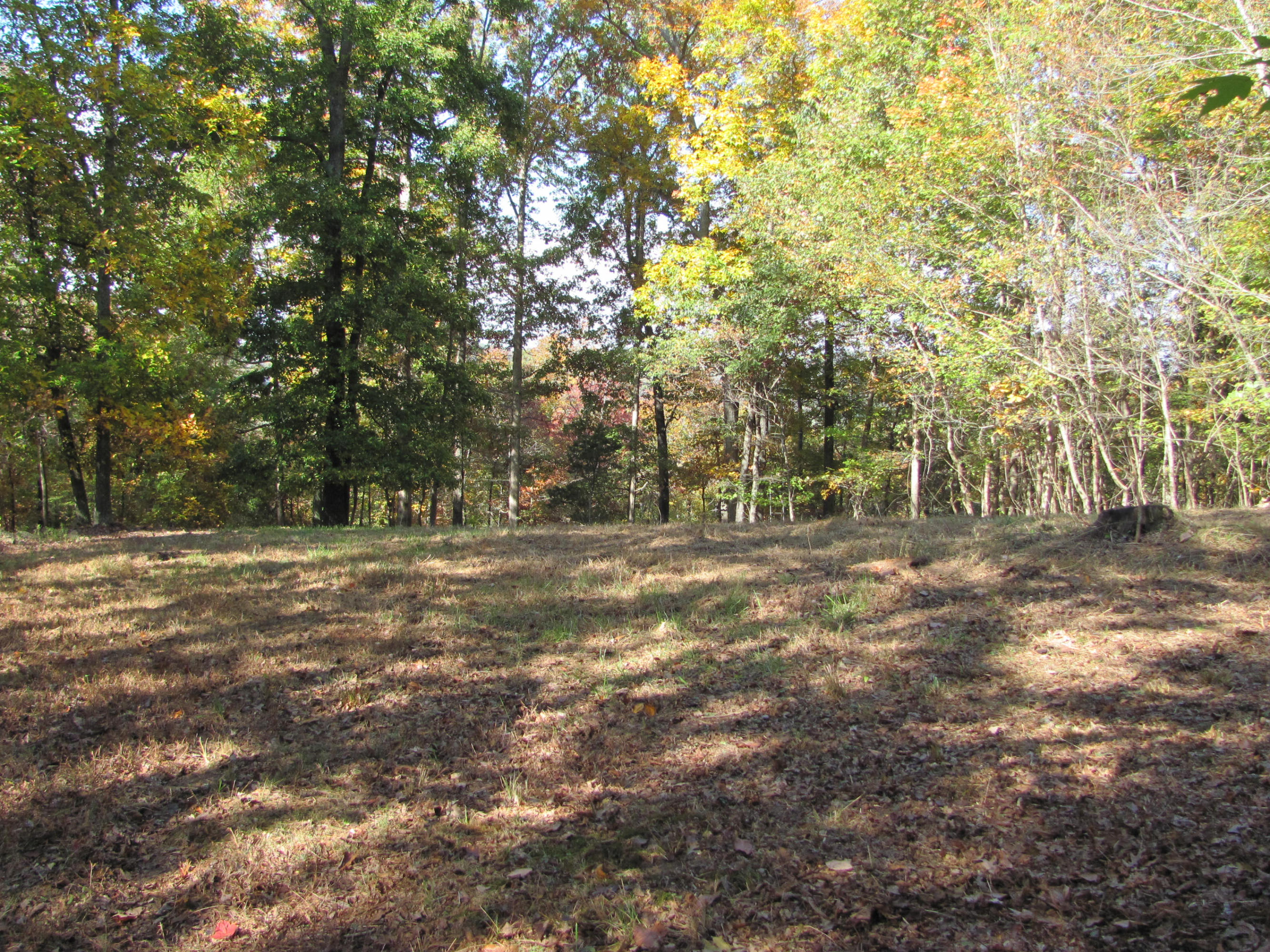 West Hotchkiss Valley Road Loudon, TN 37774 - Photo 7 of 18 Level at the top.