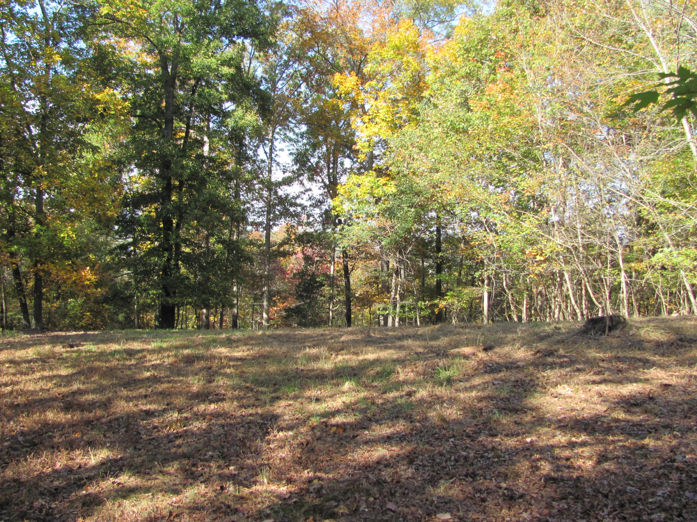 West Hotchkiss Valley Road Loudon, TN 37774 - Photo 8 of 18 Build your home here!