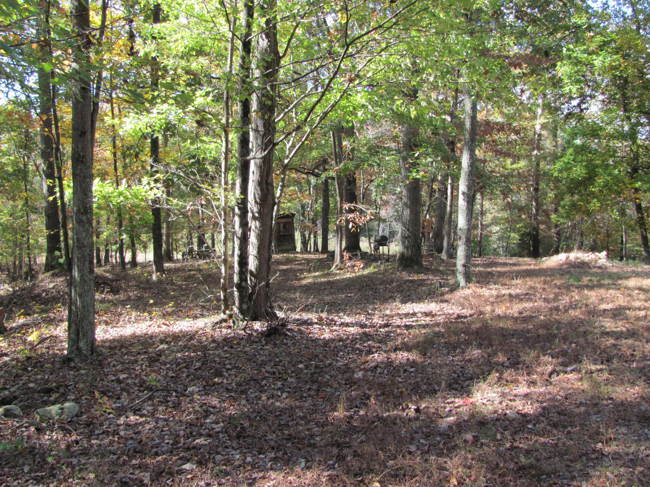 West Hotchkiss Valley Road Loudon, TN 37774 - Photo 9 of 18 Lots of Hardwoods!