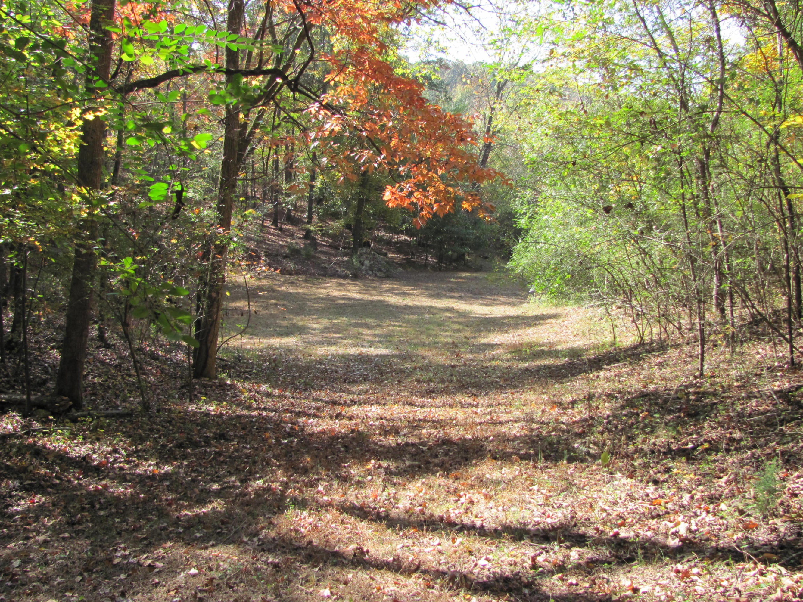 West Hotchkiss Valley Road Loudon, TN 37774 - Photo 10 of 18 Road continues to back of property.