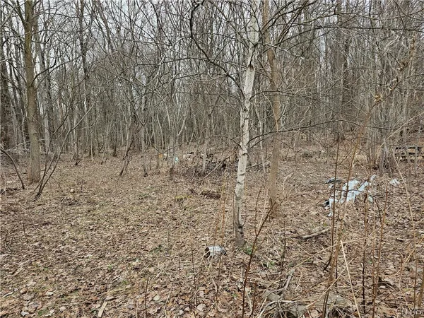 $25,000 | 6985 Stearns Road, Floyd, NY 13440