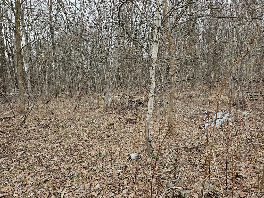 6985 Stearns Road Floyd, NY 13440 - Photo 1 of 4