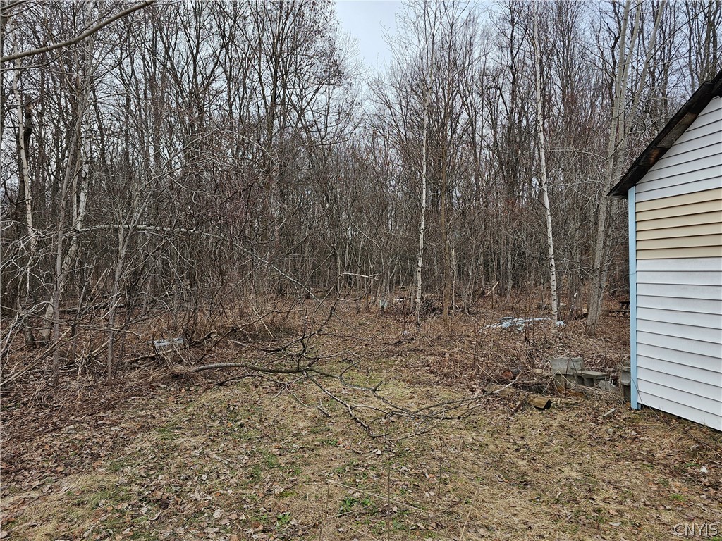 6985 Stearns Road Floyd, NY 13440 - Photo 2 of 4