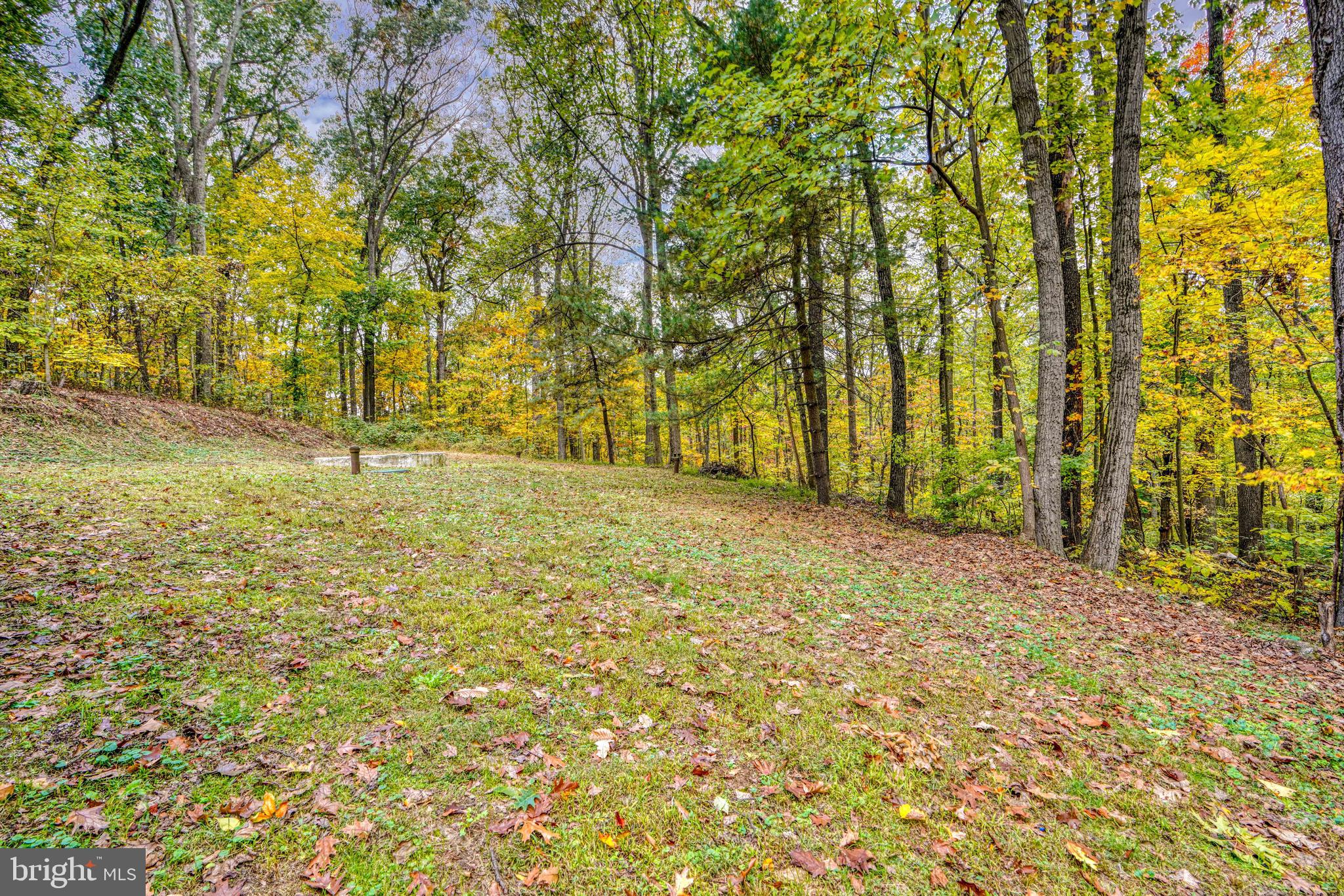 2621 Bachman Road Westminster, MD 21157 - Photo 5 of 51