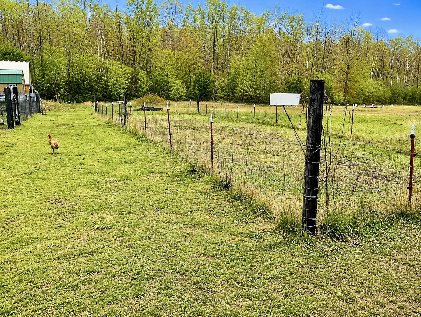 2071 Deer Creek Road Linden, TN 37096 - Photo 34 of 40