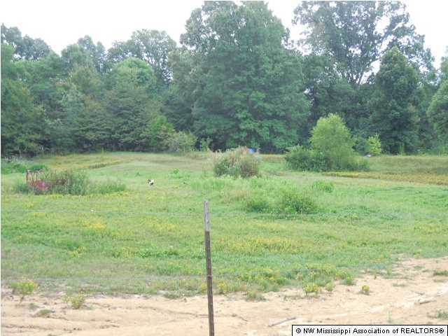 174 Brewer Subdivision Road Coldwater, MS 38618 - Photo 9 of 11 Additional Photo