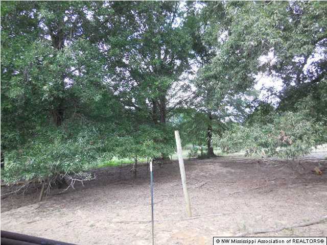 174 Brewer Subdivision Road Coldwater, MS 38618 - Photo 10 of 11 Additional Photo