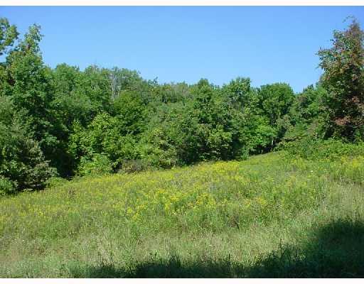 Sturge Hollow Road Amity, PA 15311 - Photo 2 of 6 Land. beautiful building site