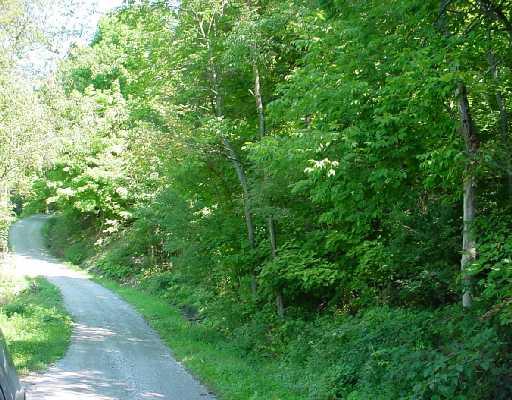 Sturge Hollow Road Amity, PA 15311 - Photo 3 of 6 Land. Road view