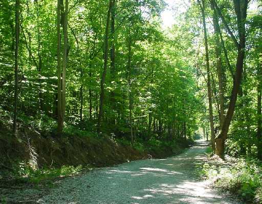 Sturge Hollow Road Amity, PA 15311 - Photo 5 of 6 Land/Lot. Another road view