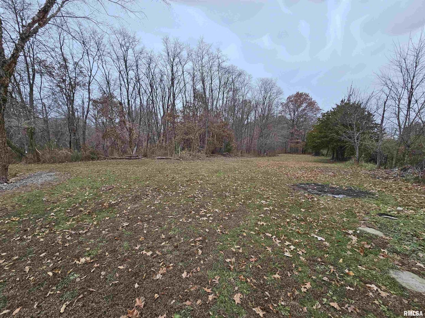 18266 East Liberty Road Opdyke, IL 62872 - Photo 12 of 34 a view of a field with trees in the background