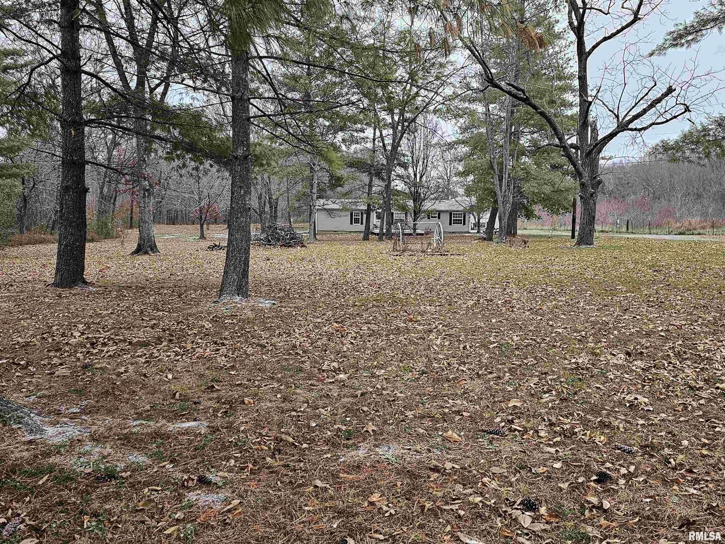 18266 East Liberty Road Opdyke, IL 62872 - Photo 14 of 34 a view of house with a backyard space