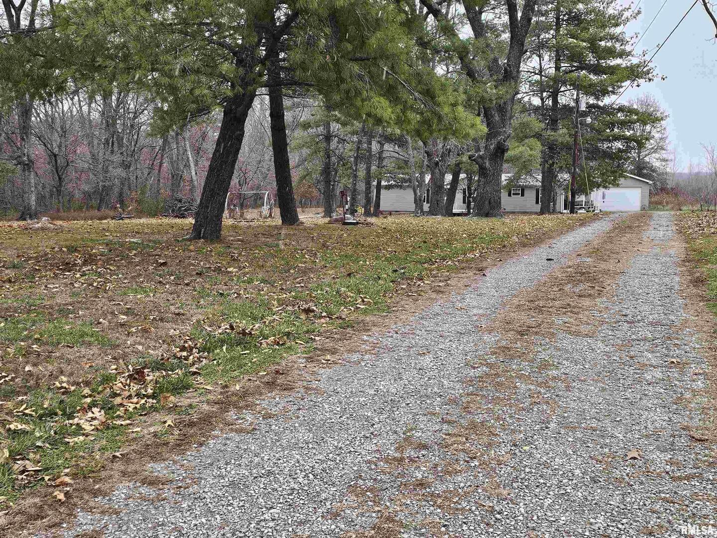 18266 East Liberty Road Opdyke, IL 62872 - Photo 2 of 34 a view of outdoor space with trees