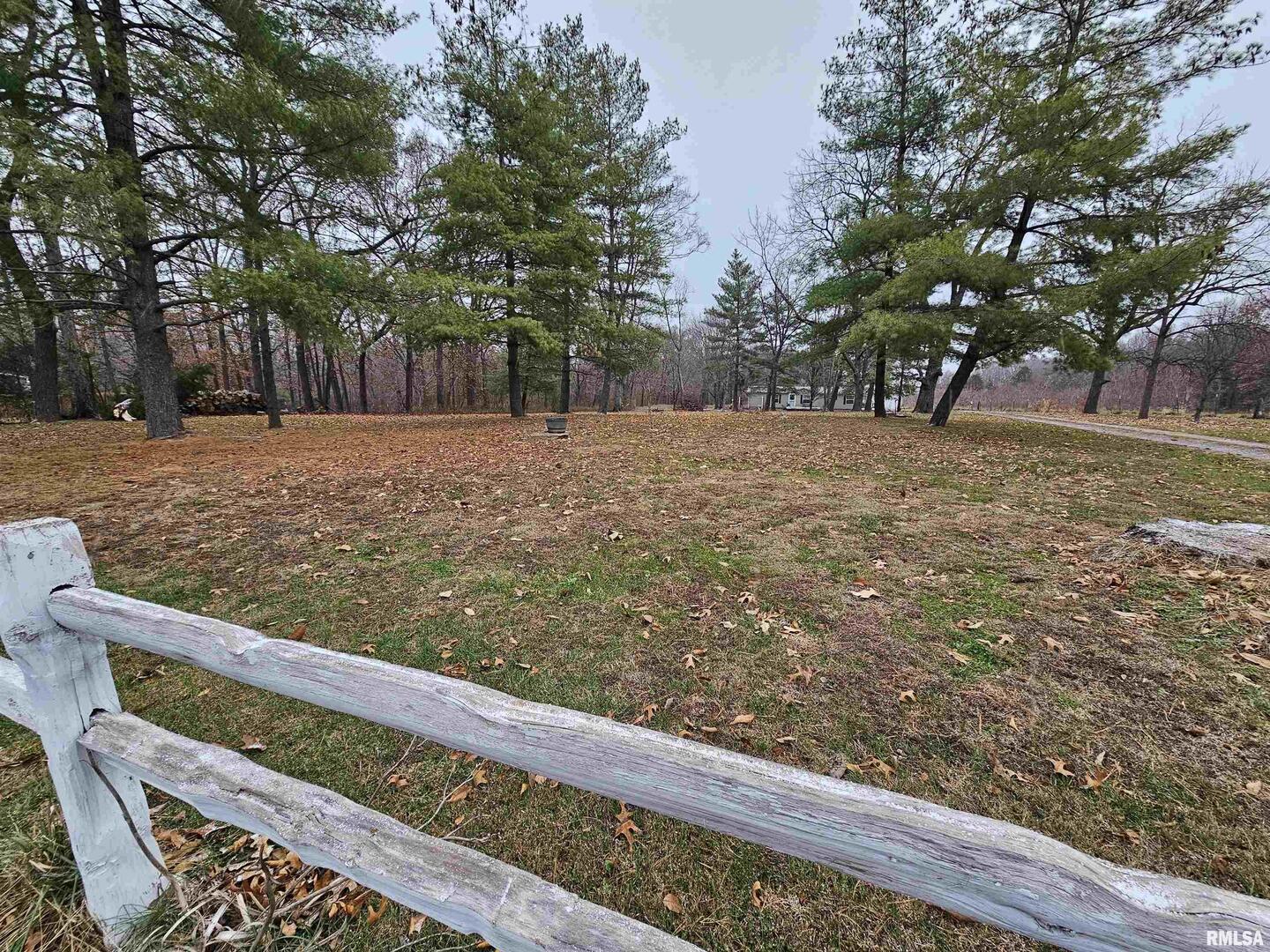 18266 East Liberty Road Opdyke, IL 62872 - Photo 6 of 34 a view of a forest filled with trees