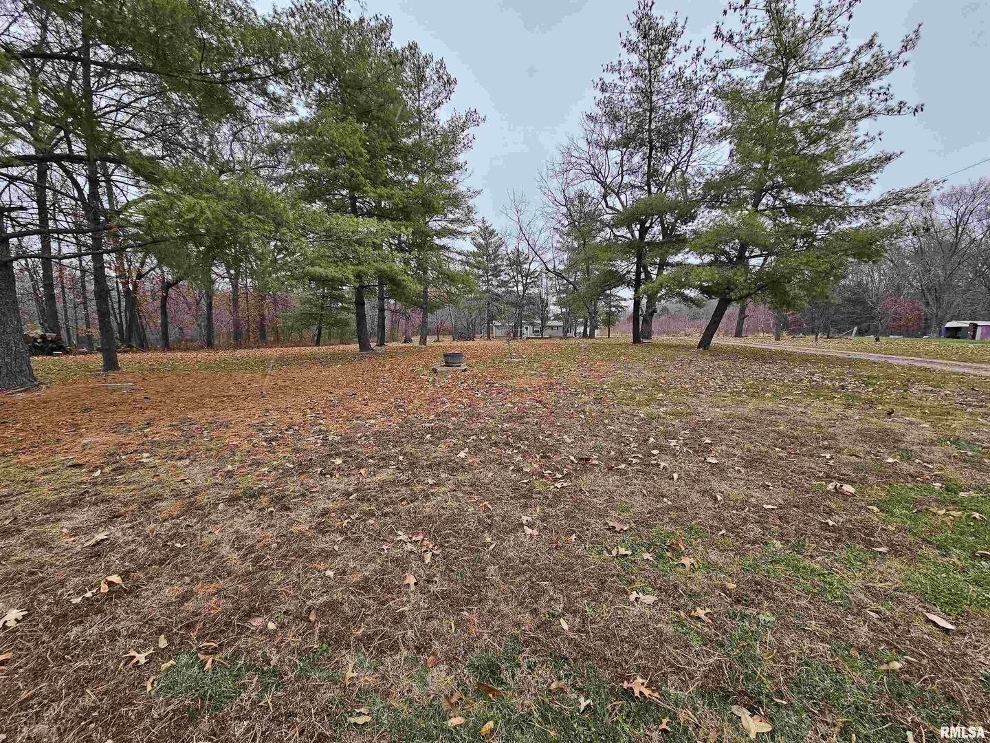 18266 East Liberty Road Opdyke, IL 62872 - Photo 8 of 34 a backyard of a house with large trees