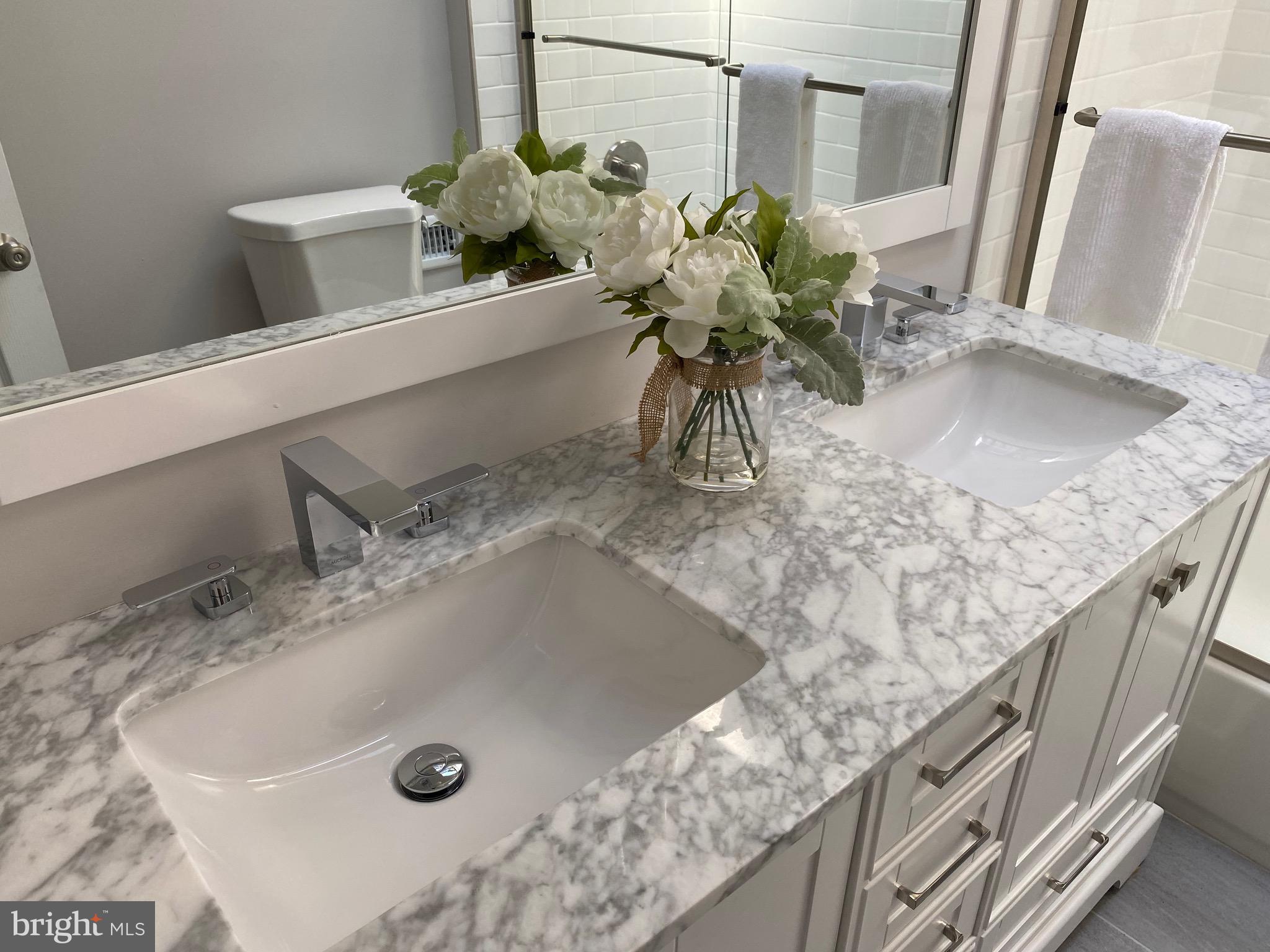 809 Grant Road Folcroft, PA 19032 - Photo 24 of 32 Double sink