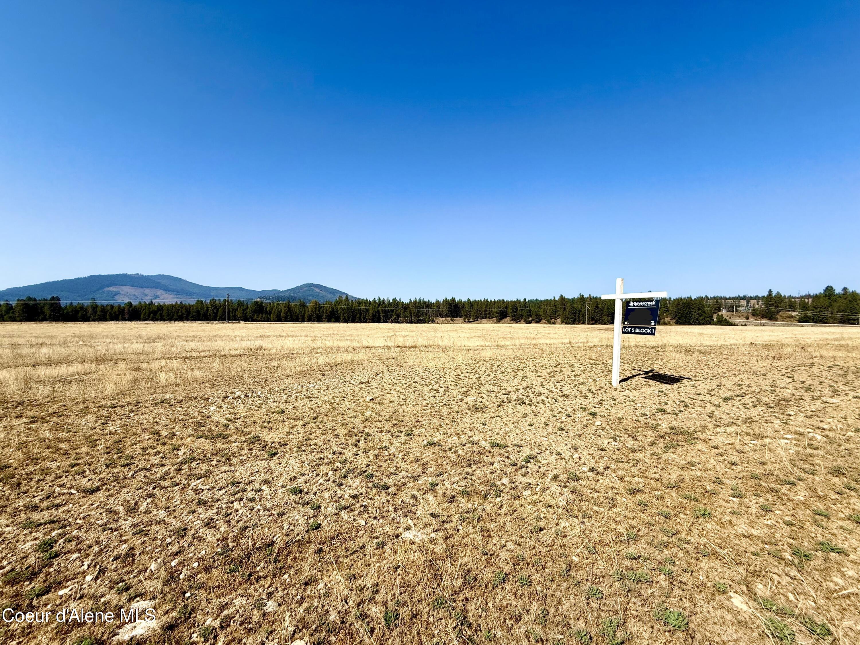 Nka North Stonemason Way, Unit 5 Rathdrum, ID 83858 - Photo 5 of 7 5.5 usable acres
