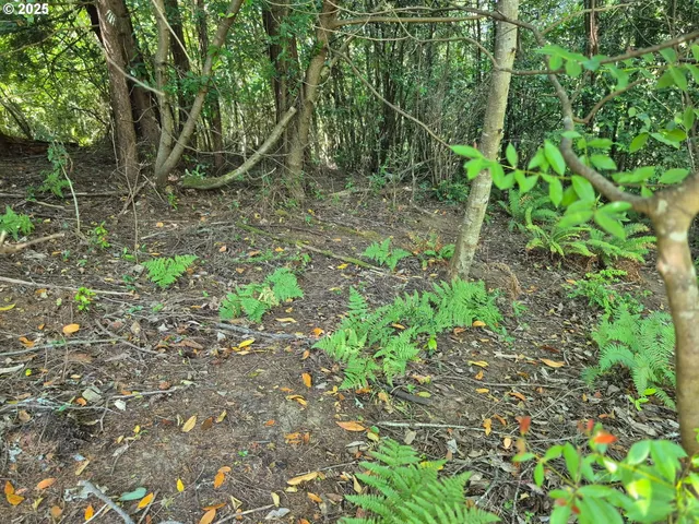 a backyard of a house with lots of green space and chair