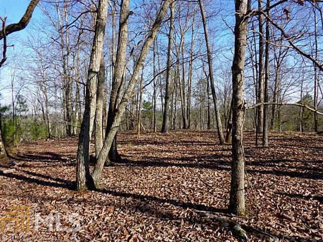 0 Macedonia Road, Unit LOT 21 White, GA 30184 - Photo 1 of 1 Gallery Image 1
