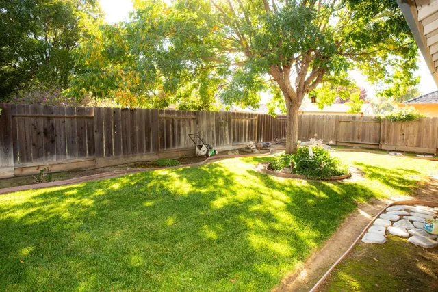 a view of backyard with tree