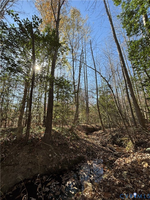 Lot 4 Diggstown Road Bumpass, VA 23024 - Photo 6 of 7 Creek along front property line