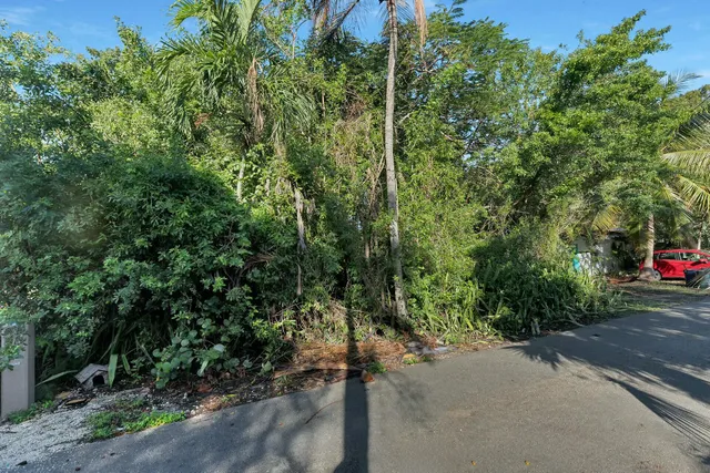 a view of a street with trees