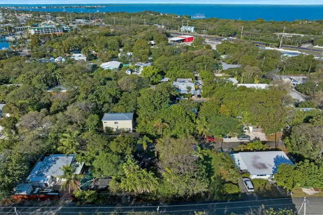 an aerial view of residential houses with outdoor space and trees