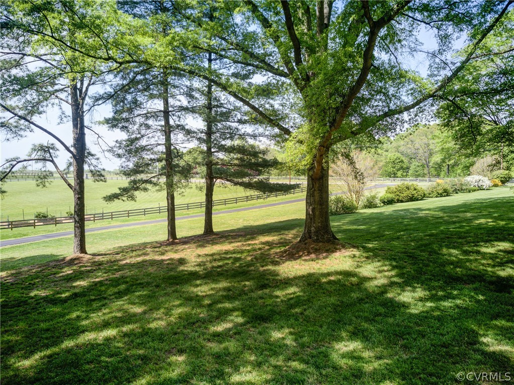 1607 Genito Road Crozier, VA 23039 - Photo 44 of 49 a view of a yard with a large tree
