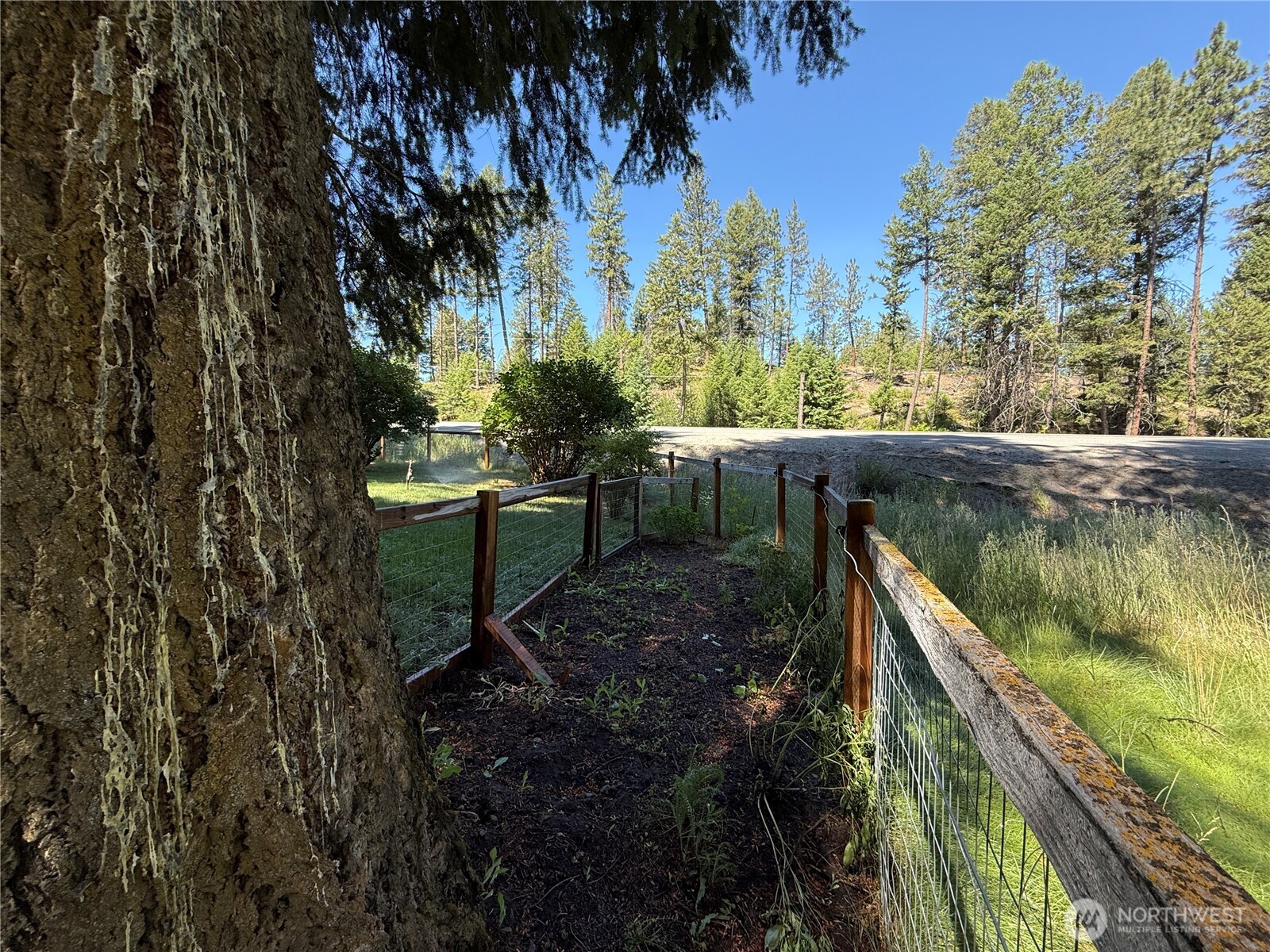 30545 State Rte 20 Republic, WA 99166 - Photo 33 of 35 a garden view with a seating space