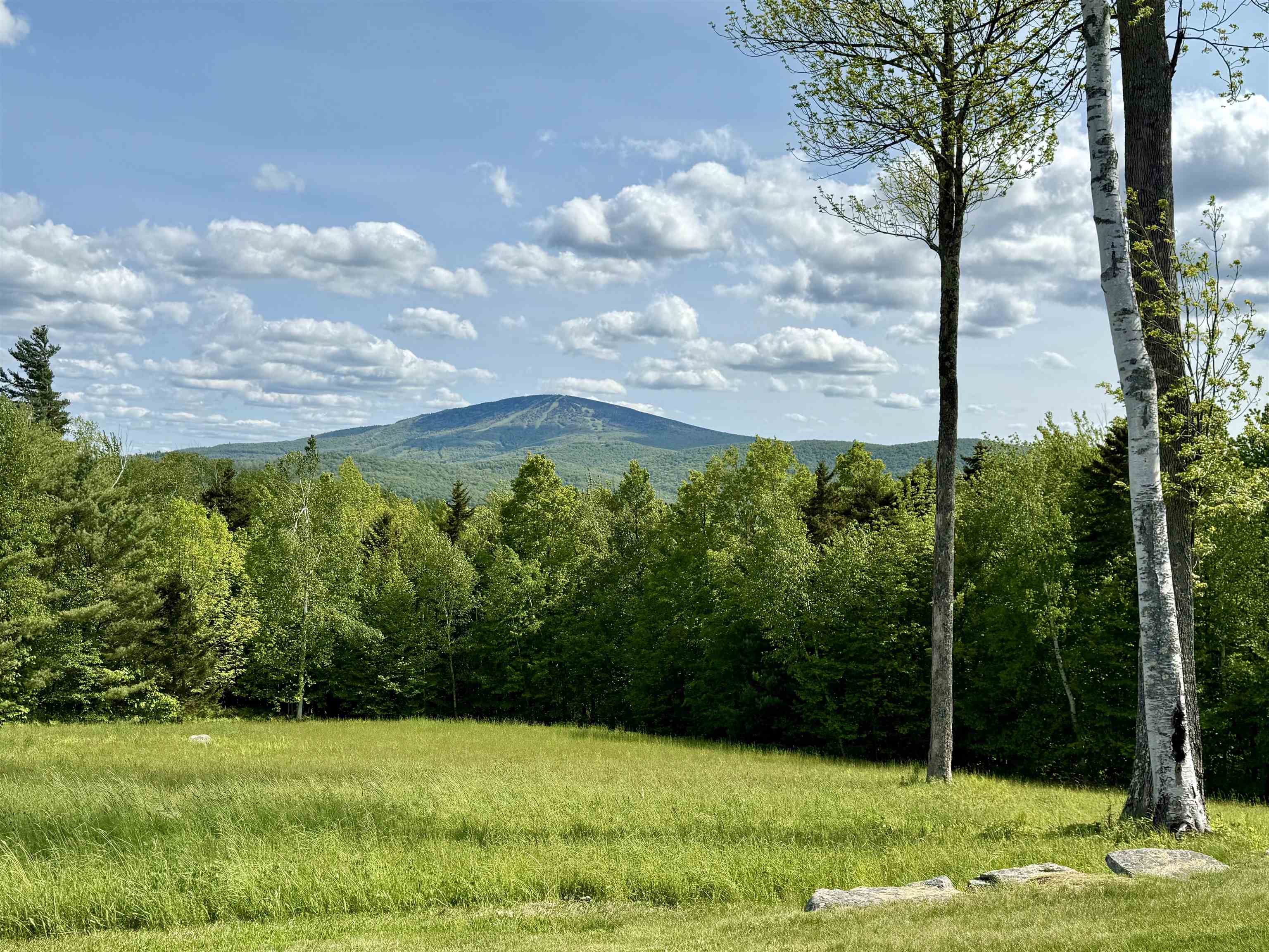 19 Old Town Road Winhall, VT 05340 - Photo 3 of 44