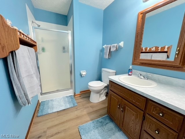 1349 Deer Hill Road Dennison, OH 44621 - Photo 21 of 36 Bathroom with vanity, wood-type flooring, toilet, a shower with door, and a textured ceiling