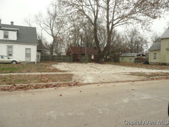705 North 12th Street Springfield, IL 62702 - Photo 3 of 6 Gallery Image 3