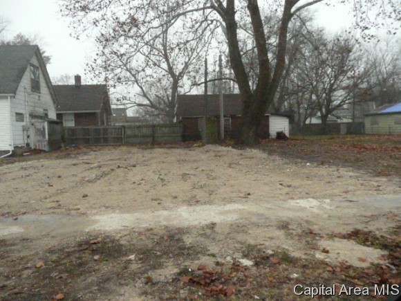 705 North 12th Street Springfield, IL 62702 - Photo 5 of 6 Gallery Image 5
