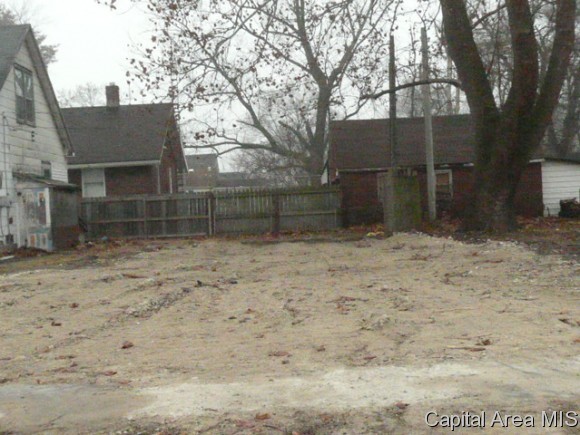 705 North 12th Street Springfield, IL 62702 - Photo 6 of 6 Gallery Image 6