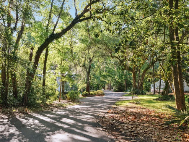 a view of a yard with a tree