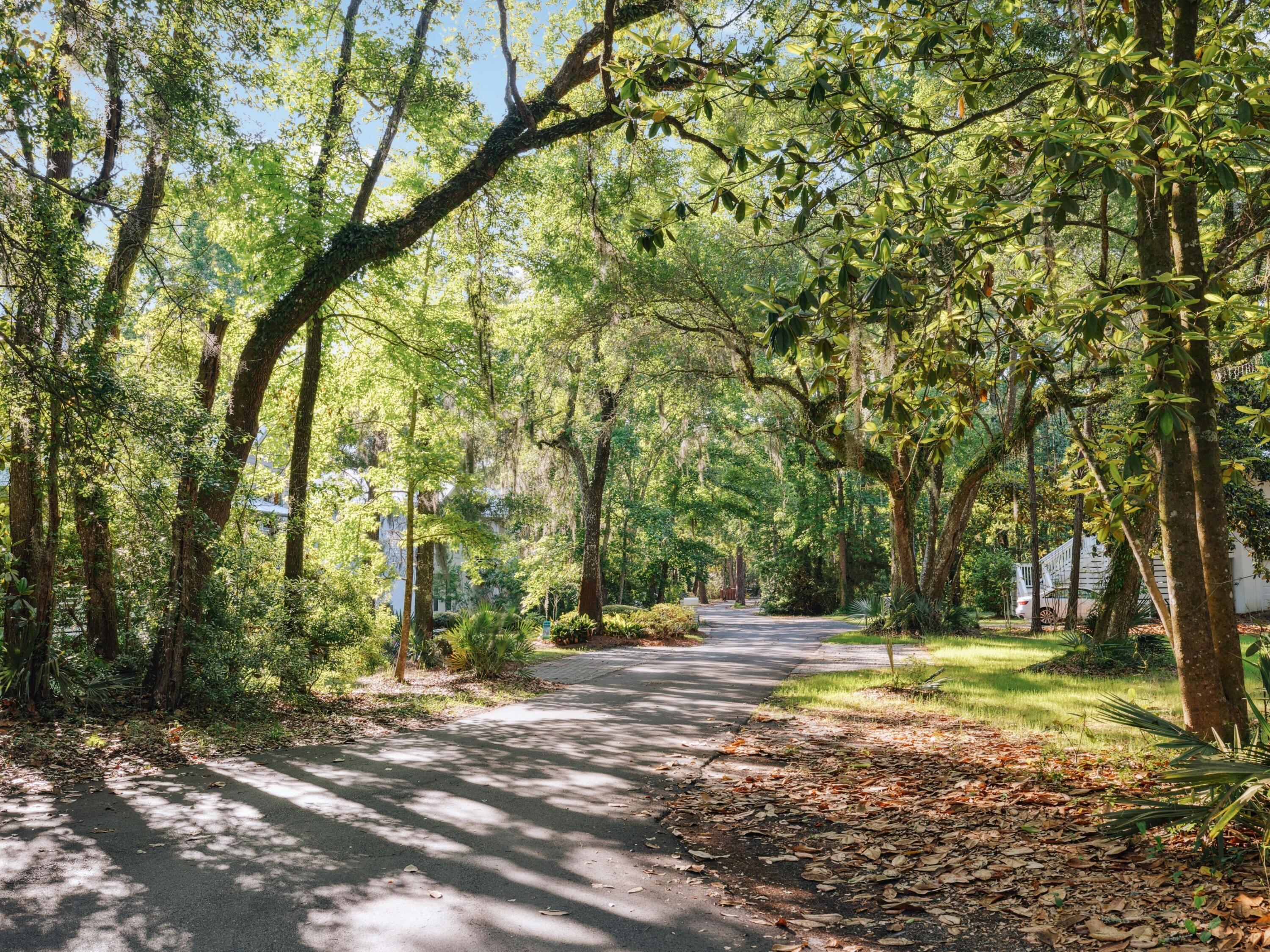 Lot 9 East Shallows Drive Santa Rosa Beach, FL 32459 - Photo 3 of 13 a view of a yard with a tree