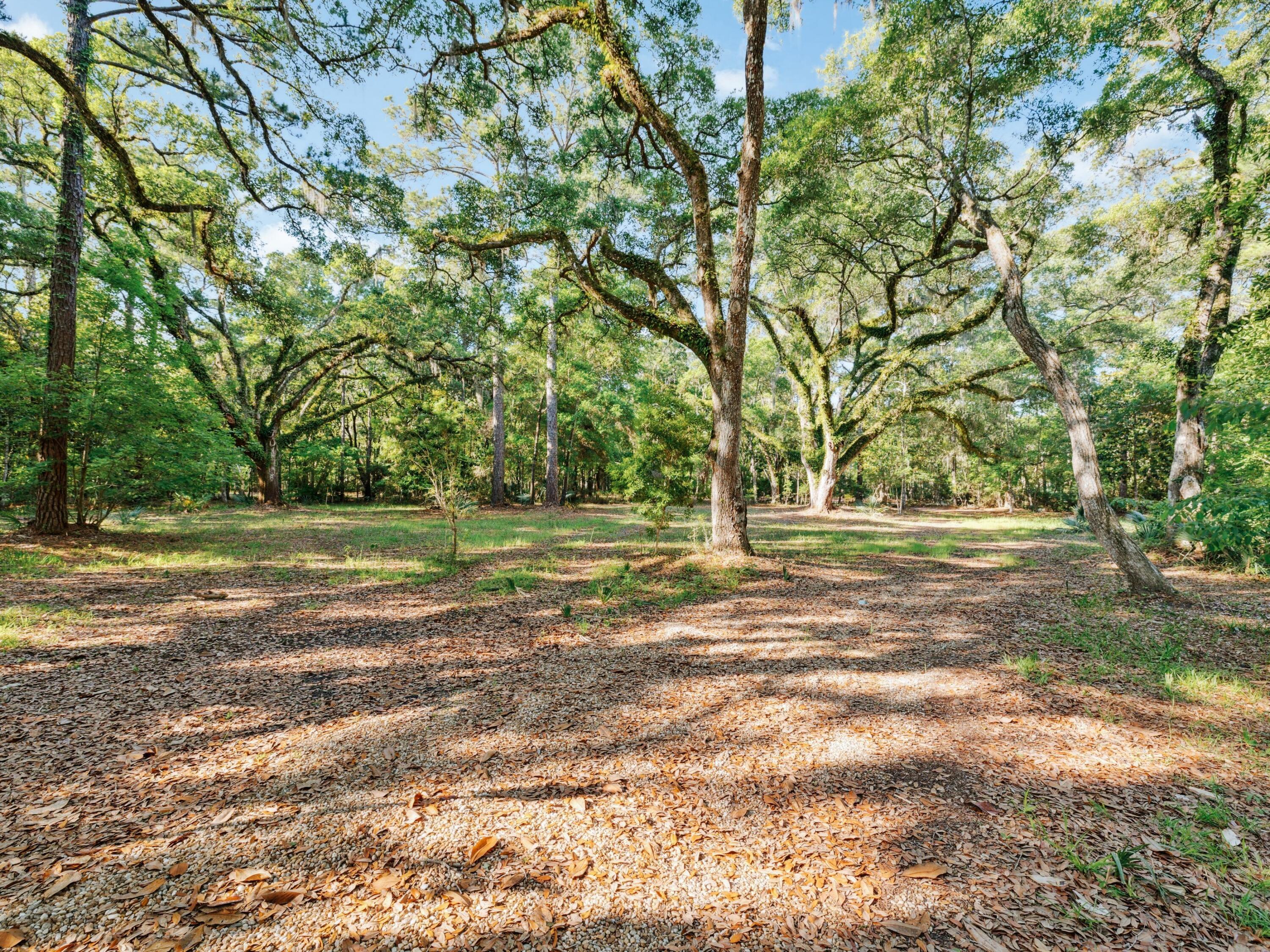 Lot 9 East Shallows Drive Santa Rosa Beach, FL 32459 - Photo 4 of 13 a view of outdoor space with trees