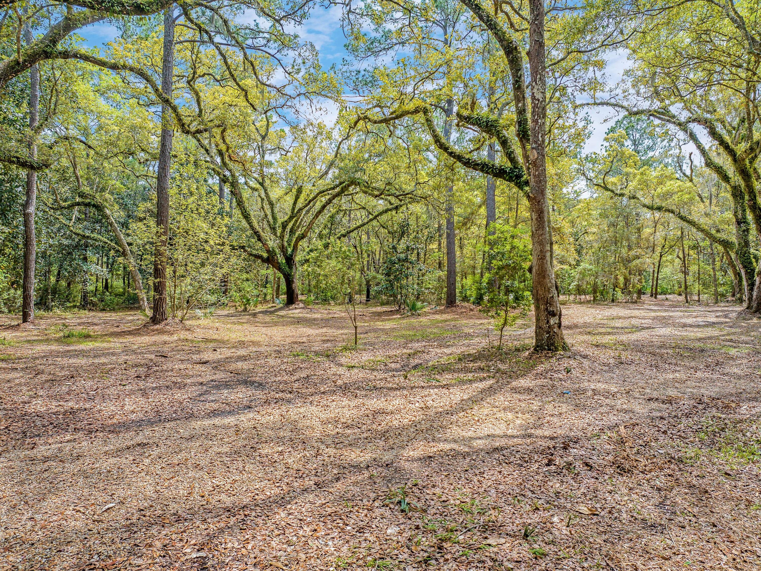Lot 9 East Shallows Drive Santa Rosa Beach, FL 32459 - Photo 5 of 13 a view of dirt yard with a tree